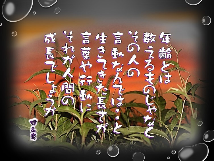 f0214467_10132597.jpg