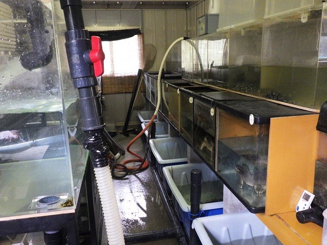 c0105569_01471787.jpg