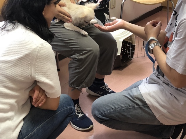 パピー教室(2018.9.2)_e0367571_18421875.jpg