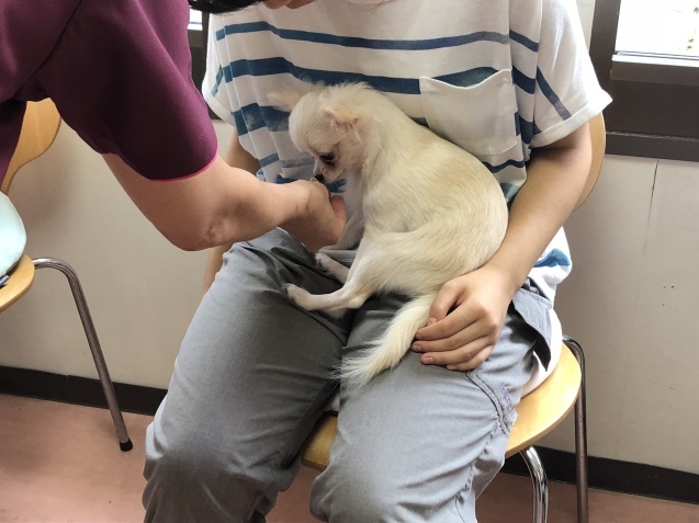 パピー教室(2018.9.2)_e0367571_18430767.jpg