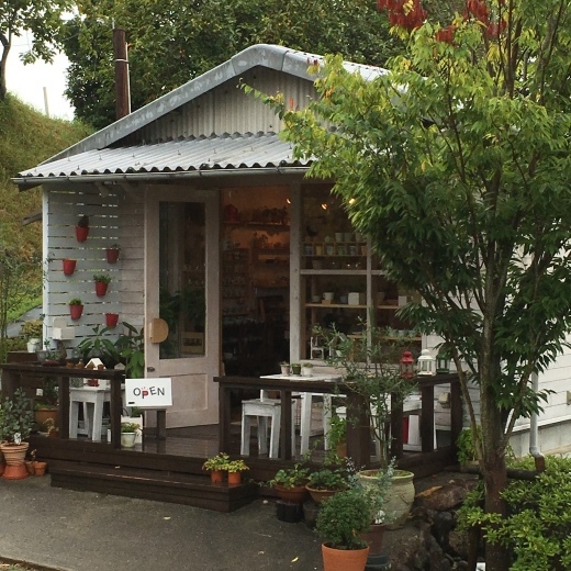 久しぶりの雨　〜9月の初め〜_c0334574_19222730.jpg