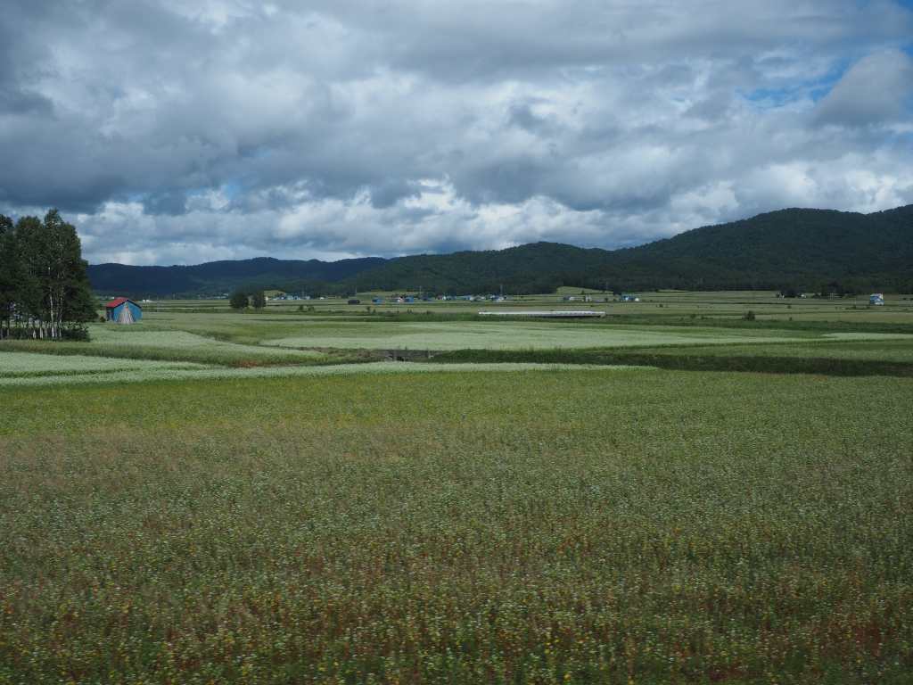 c0183777_21333958.jpg