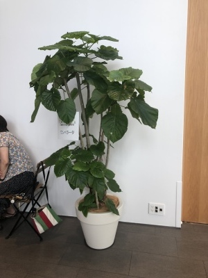 a0252678_09110617.jpeg