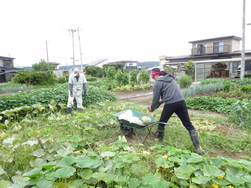夏休み帰青【8/28(2)】 生ビールサーバー設置と畑_d0061678_17360181.jpg