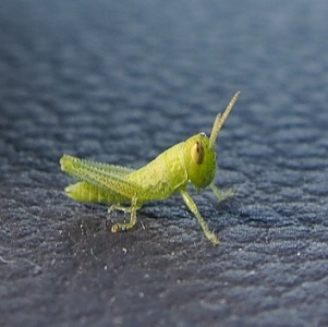 f0101679_1452026.jpg