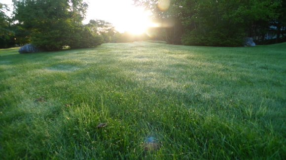 c0212083_16590165.jpg
