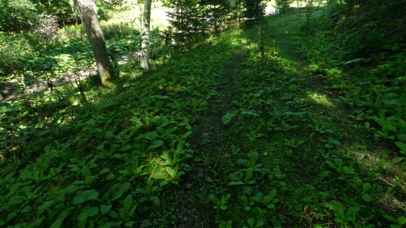 c0212083_17001931.jpg