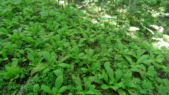 c0212083_17003167.jpg