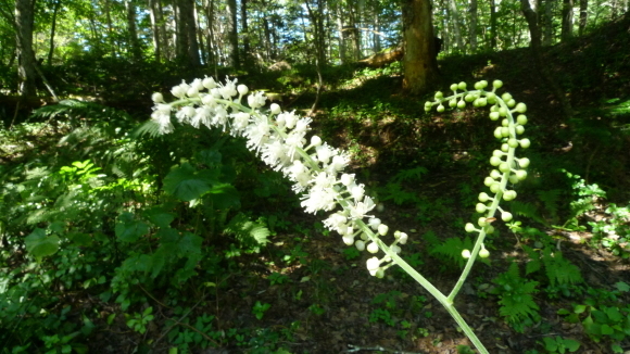 c0212083_17004472.jpg