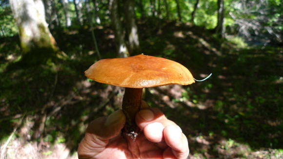 c0212083_17011166.jpg