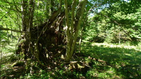 c0212083_17015748.jpg