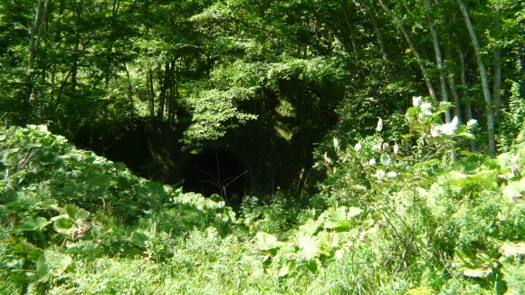 c0212083_17021403.jpg
