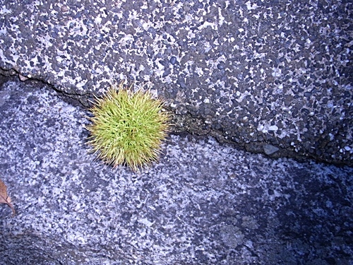 e0086885_13482757.jpg