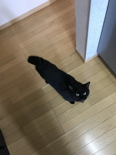c0340786_14240655.jpeg