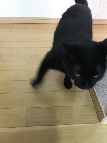 c0340786_14252042.jpeg