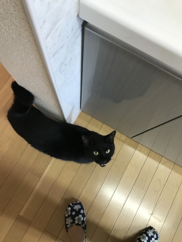 c0340786_14261849.jpeg