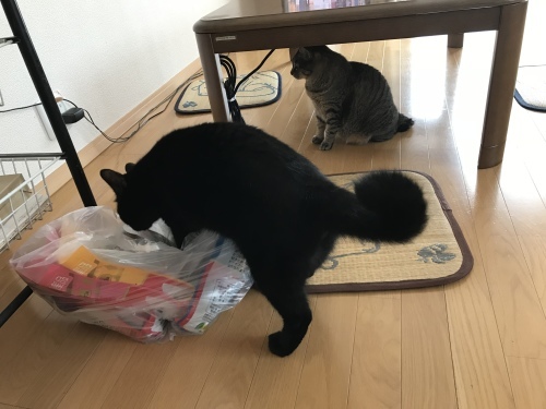 c0340786_14305580.jpeg