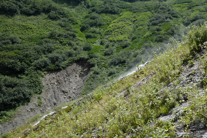 b0339488_23081825.jpg