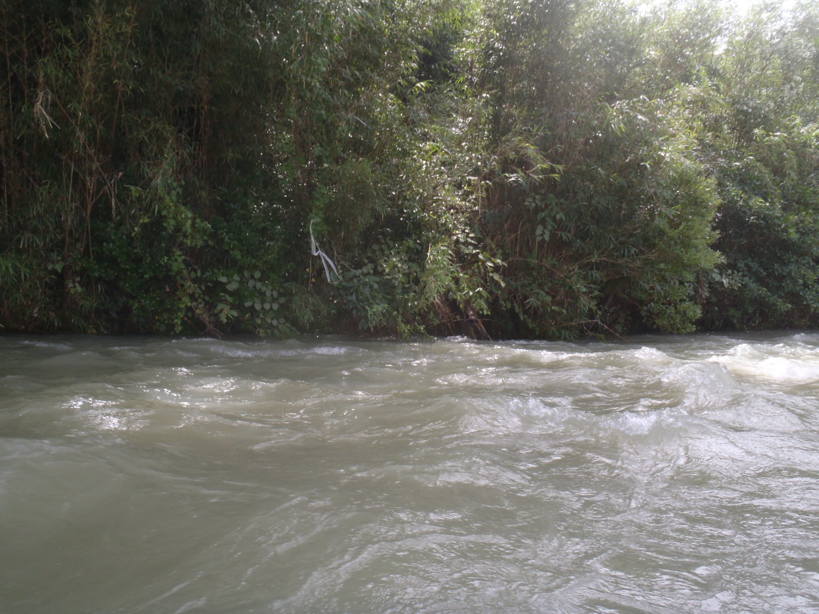 b0139489_21045769.jpg