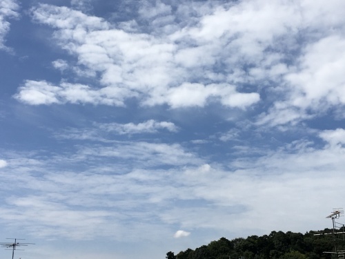 ゆっくり日曜日_f0347891_21020475.jpeg