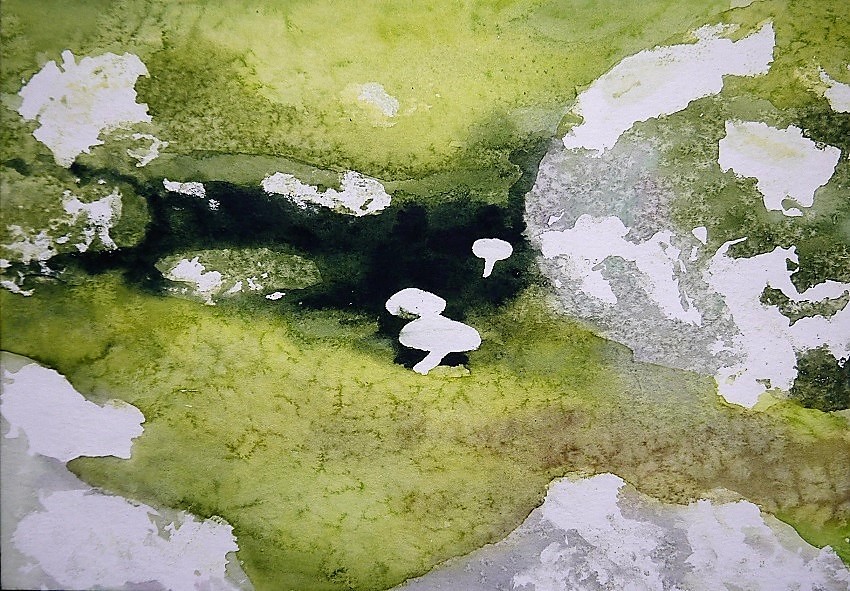 苔むした岩とキノコの絵の描き方とお知らせ。 : 小林啓子水彩画