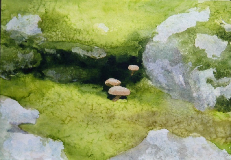 苔むした岩とキノコの絵の描き方とお知らせ。 : 小林啓子水彩画