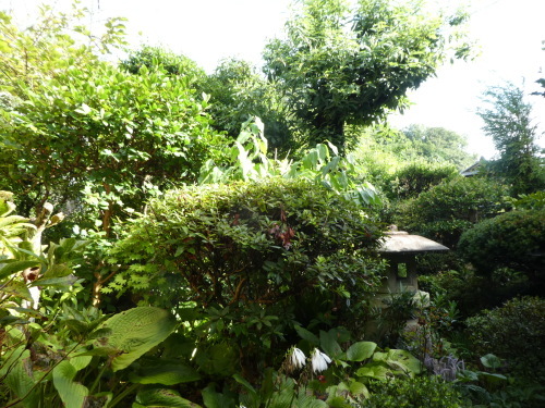 c0108198_17343908.jpg