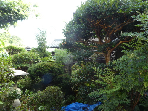 c0108198_17345055.jpg
