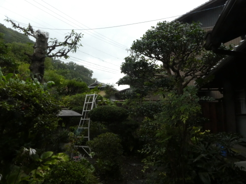 c0108198_17352747.jpg