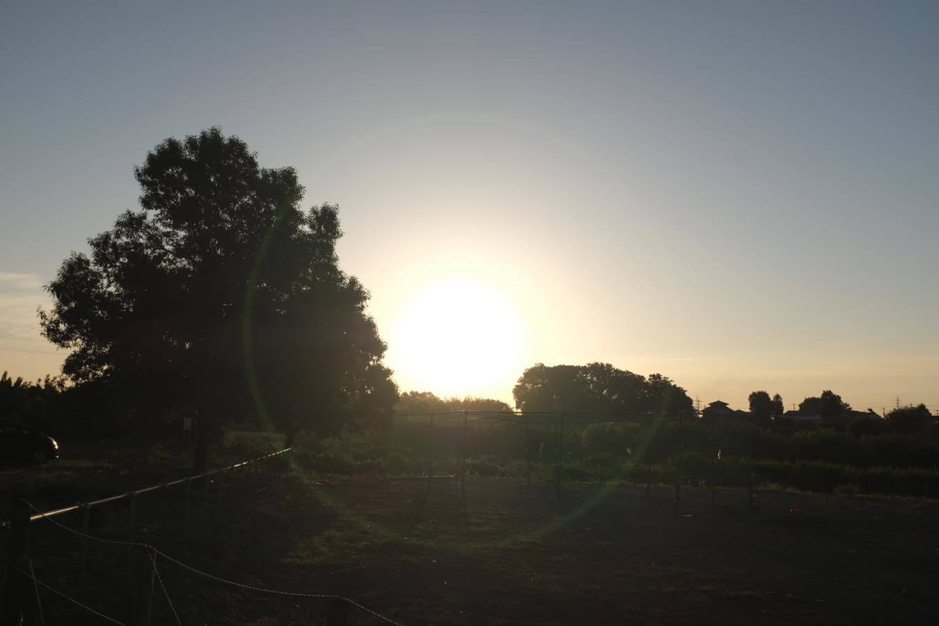 e0194300_11502516.jpg
