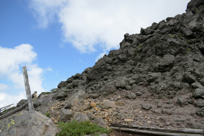 c0336907_20515911.jpg