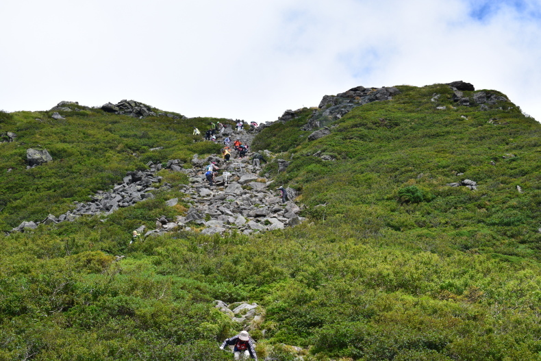 c0336907_20542786.jpg