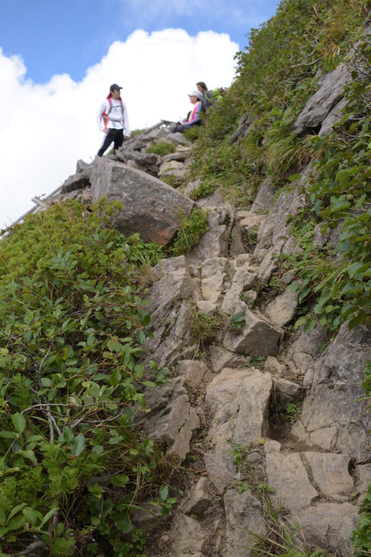 c0336907_20560312.jpg