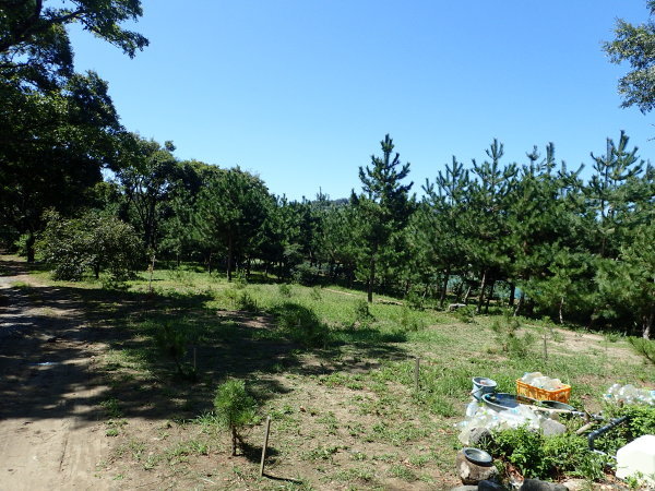 c0367107_12584187.jpg