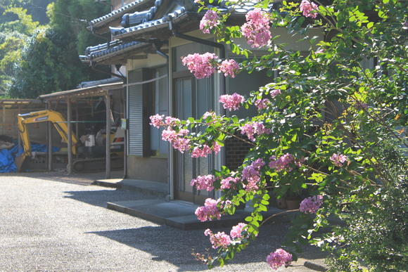 d0237309_2155647.jpg
