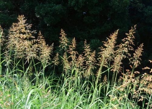 e0360409_17281729.jpg