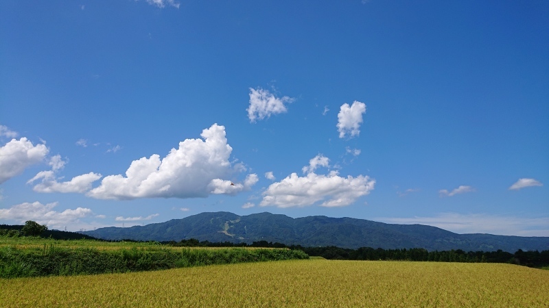 d0359010_18400315.jpg