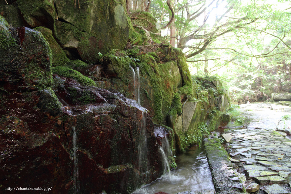 c0189013_01274592.jpg
