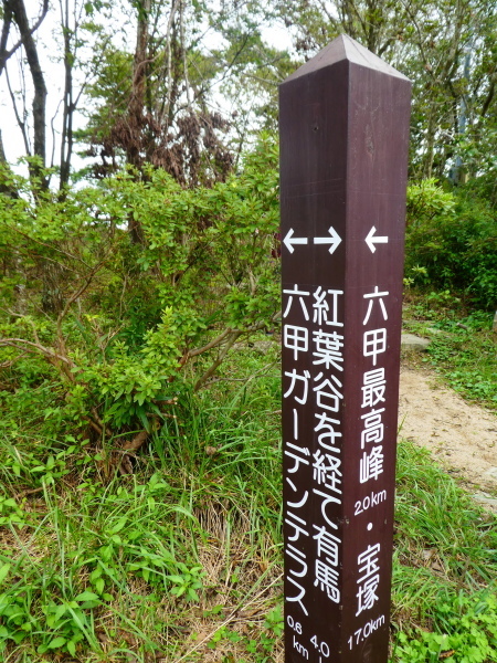 d0170615_17170717.jpg