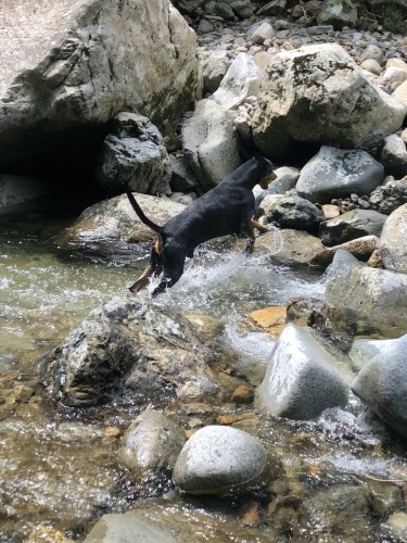 c0324418_17451272.jpeg