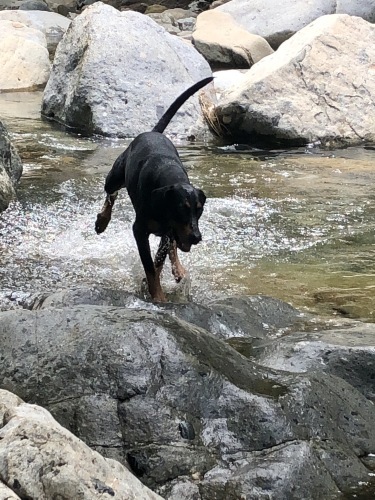 c0324418_17453447.jpeg