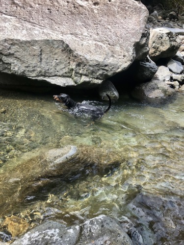 c0324418_17455725.jpeg