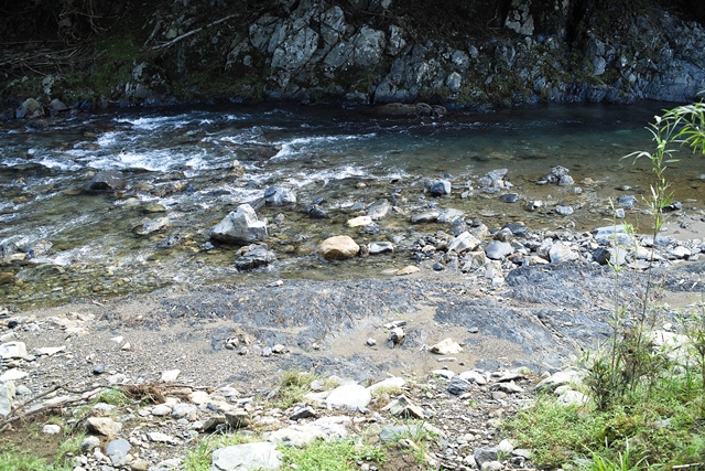 ☀・23℃・・・ツルボのカワイイ花　　　朽木小川・気象台より_c0044819_8312127.jpg