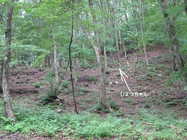 f0143123_12003169.jpg