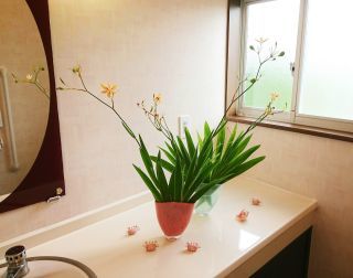 暑中お見舞い申し上げます。_c0165824_15293459.jpg