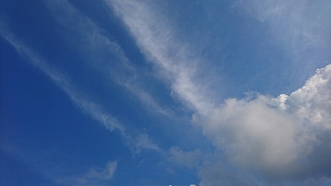 d0060425_00062230.jpg