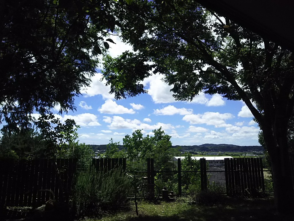 b0308627_23481320.jpg