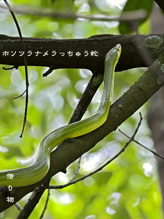 d0042827_01272500.jpg