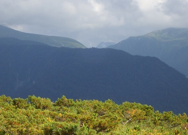 c0263829_22092707.jpg