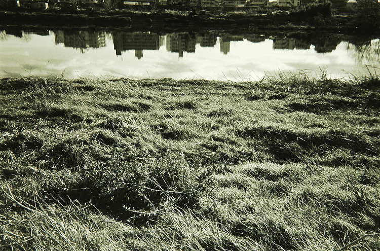 c0381632_12361443.jpg